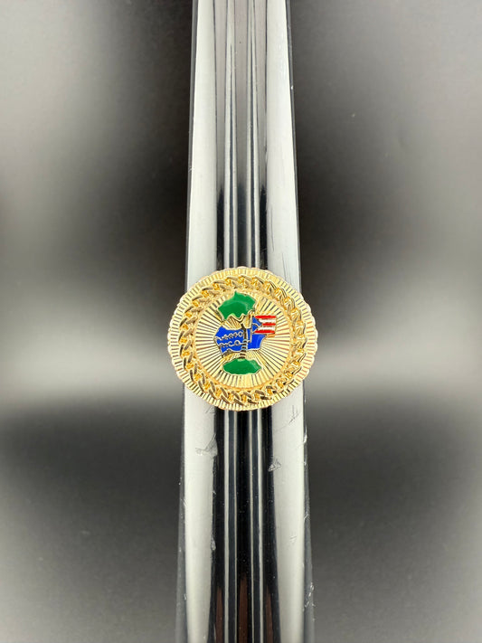 Gold 10k PR ring Cz